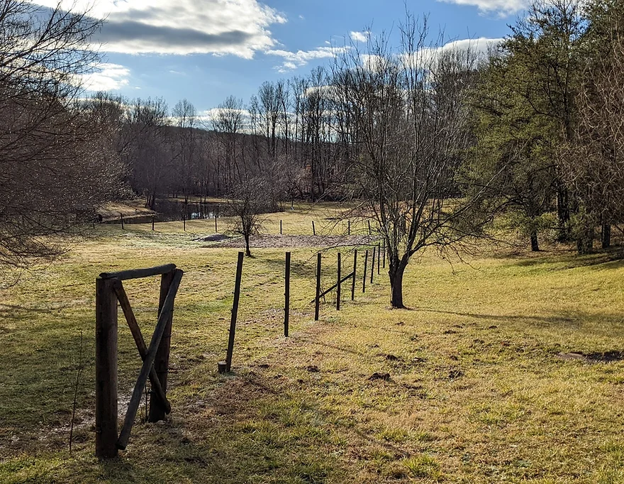 winter farm with trees and fencing