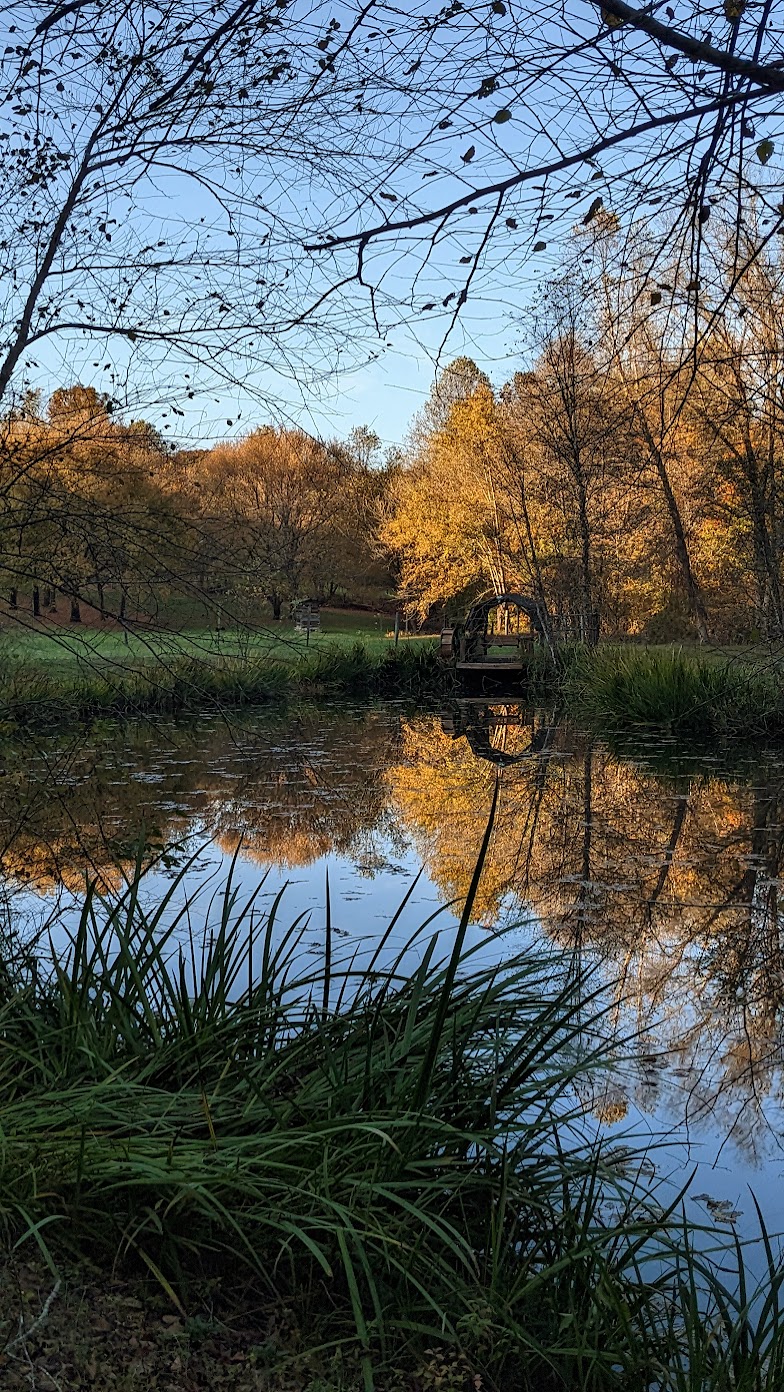 Fall Farm pond