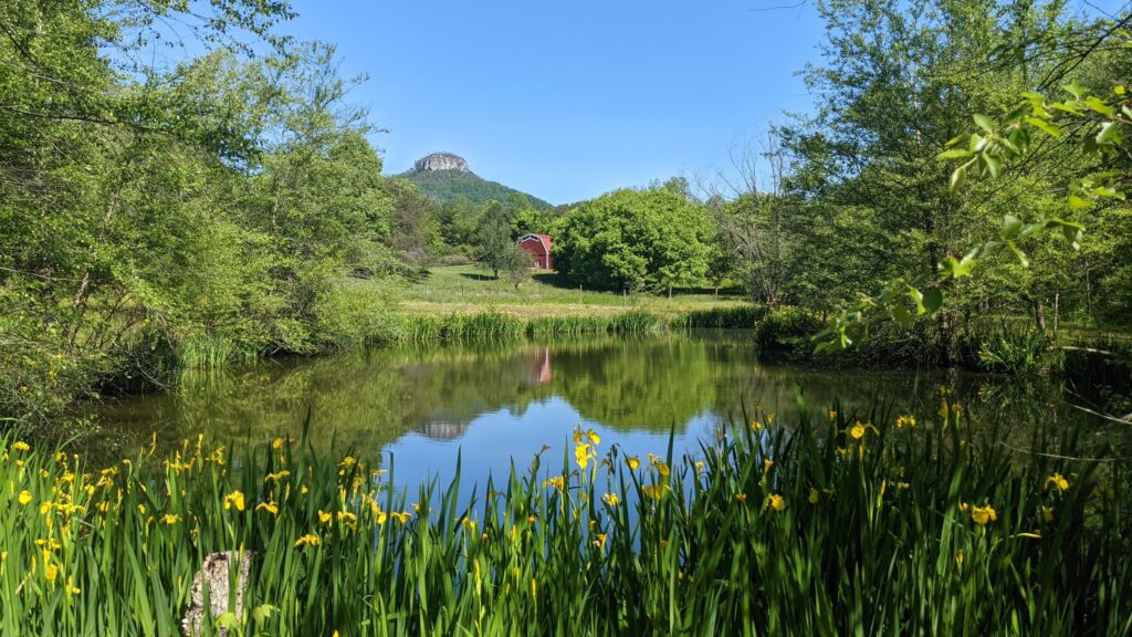 Pilot Mountain North Carolina with pond