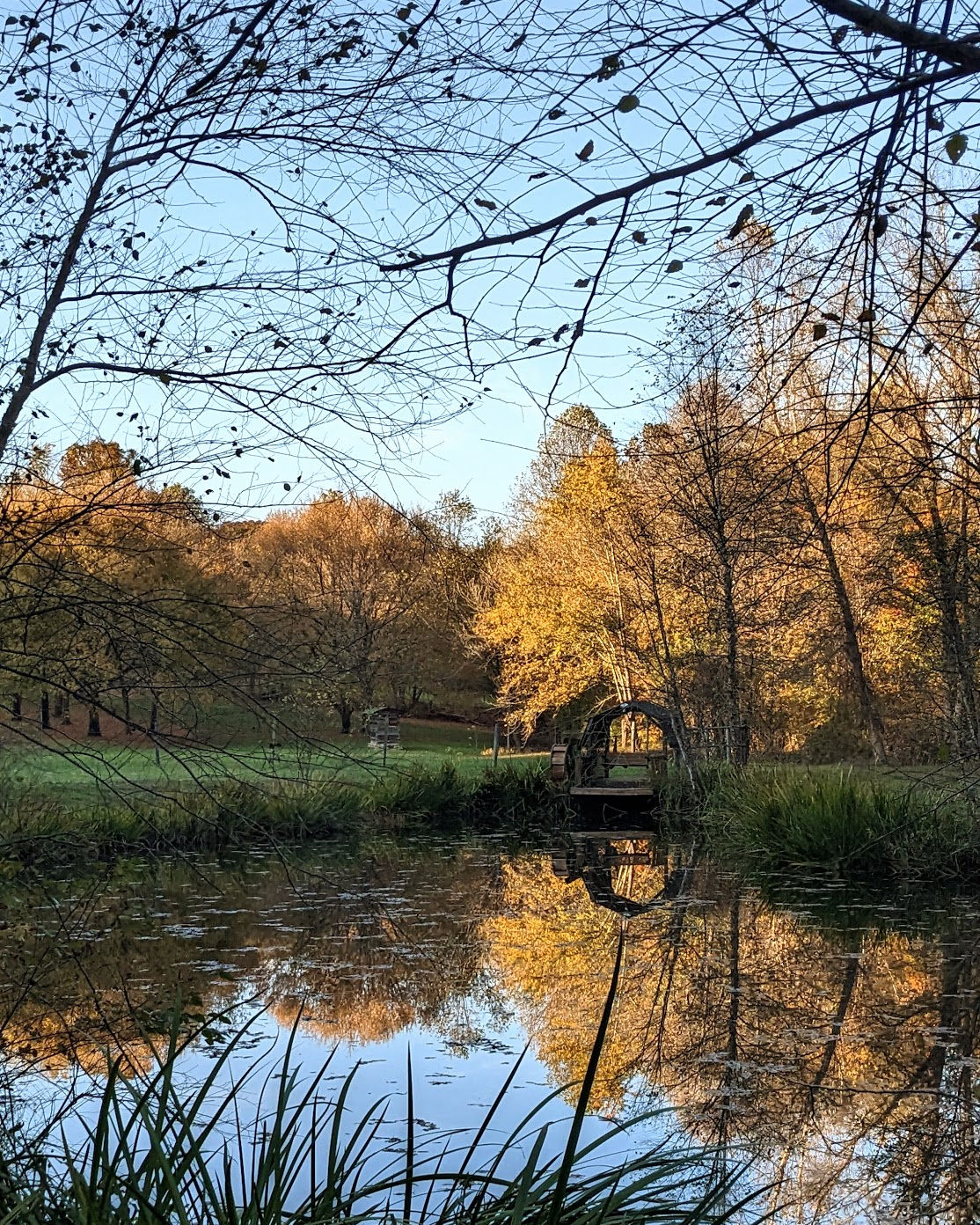 pond with autumn reflection