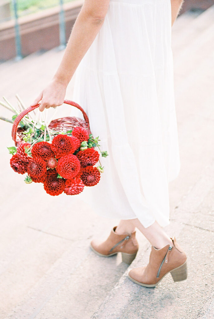 walking with dahlia flowers