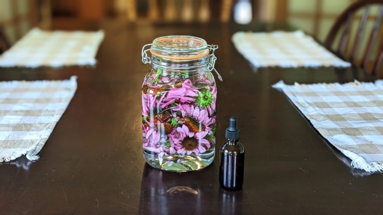 Echinacea Tincture for Immune Support